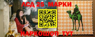 амф Шелехов