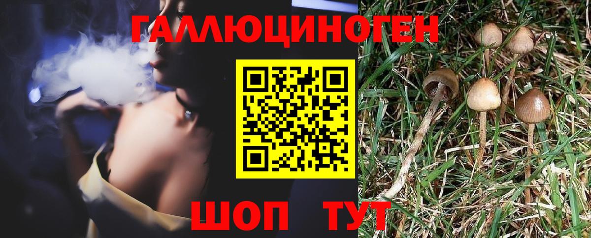 Псилоцибиновые грибы прущие грибы  Вход с VPN  Минеральные Воды 
